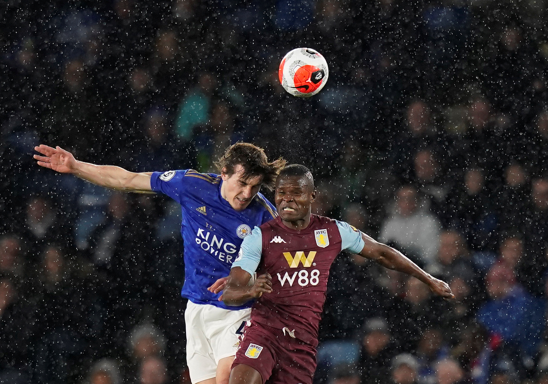 仅是自然爱 仅是自然爱